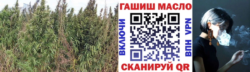 цены наркотик  Магас  ТГК жижа 