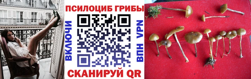 Псилоцибиновые грибы Magic Shrooms  Магас 